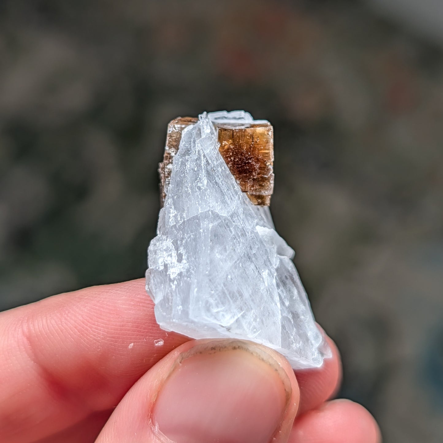 Clay Center Fluorite and Celestine