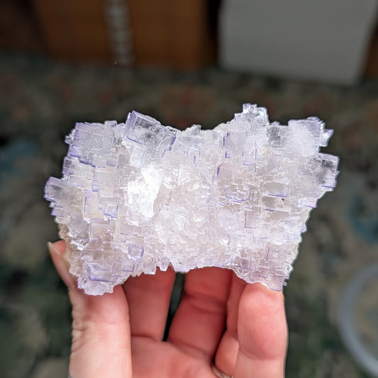 Múzquiz Fluorite