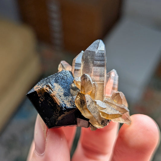Erongo Smoky Quartz with Schorl