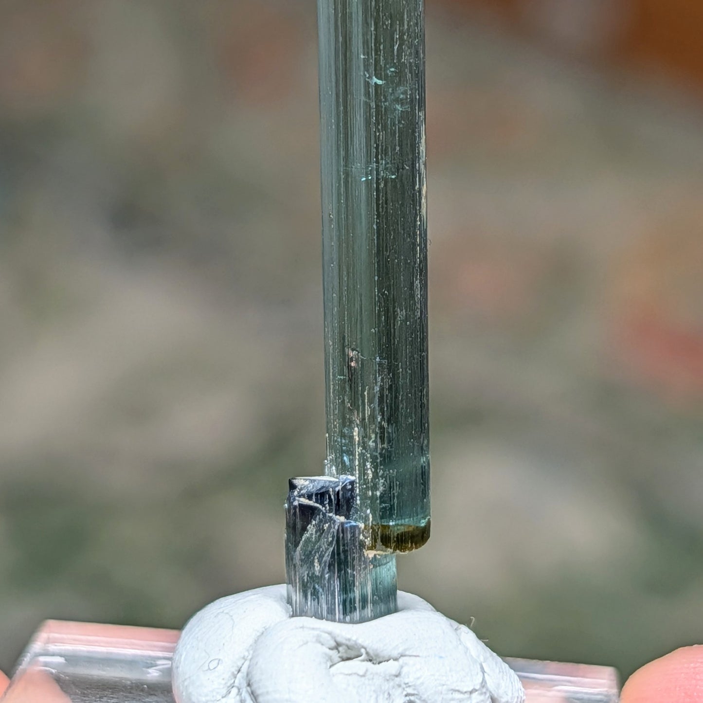 Pederneria Mine Tourmaline