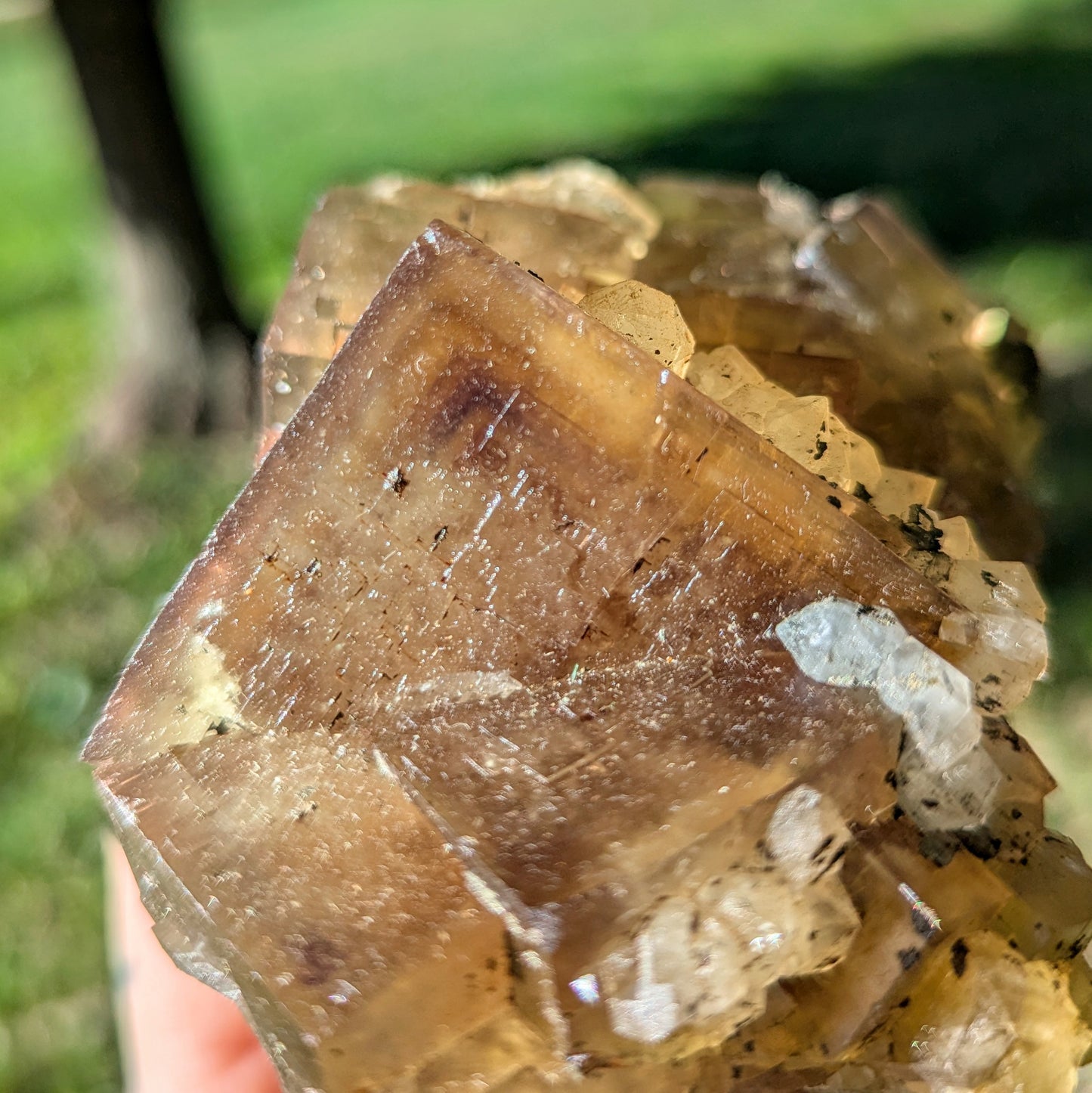 El Hammam Mine Fluorite and Quartz