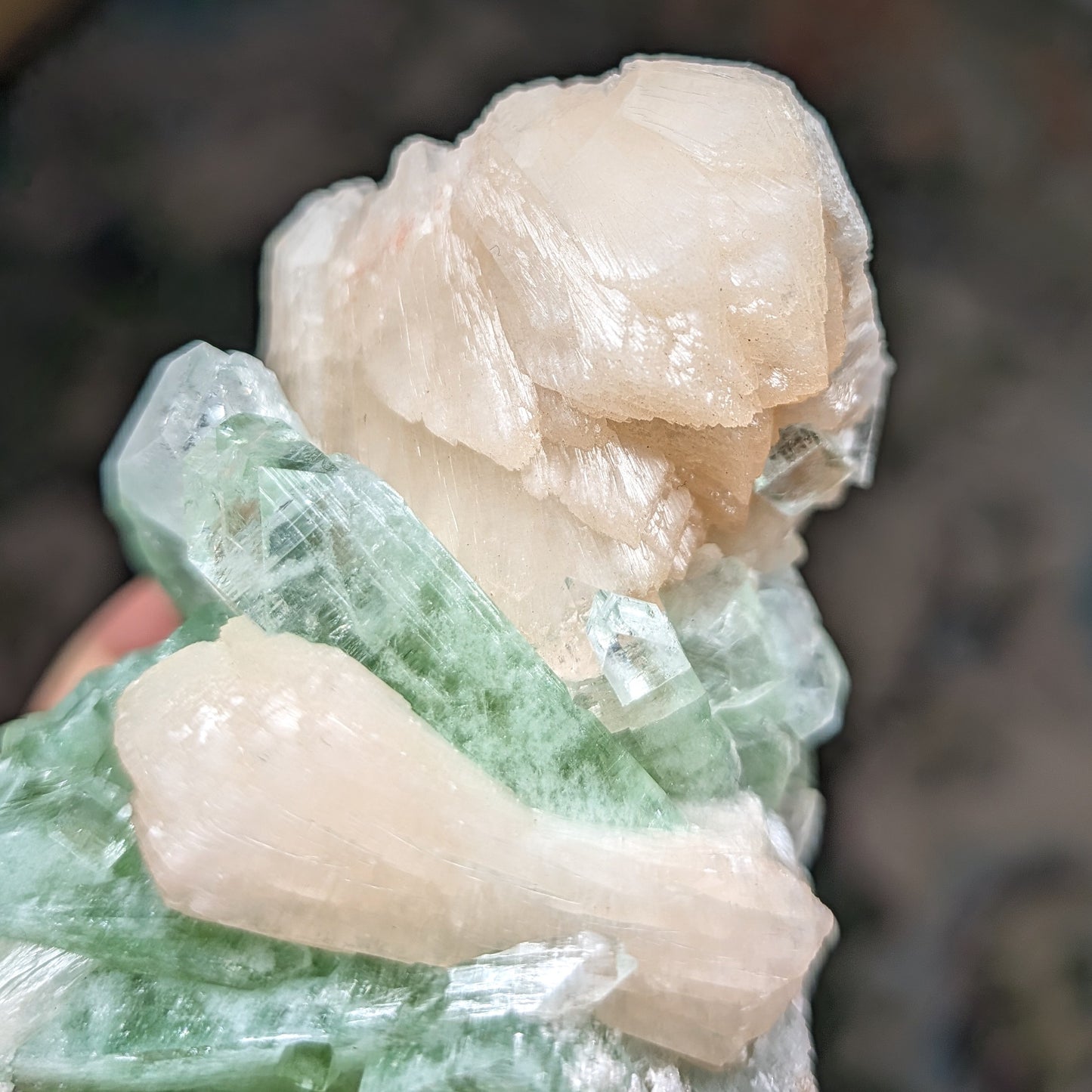 Green Apophyllite and Stilbite