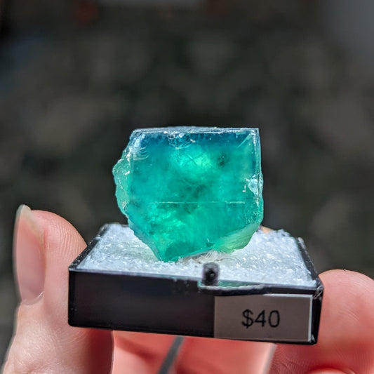 Okorusu Mine Fluorite Perky Box