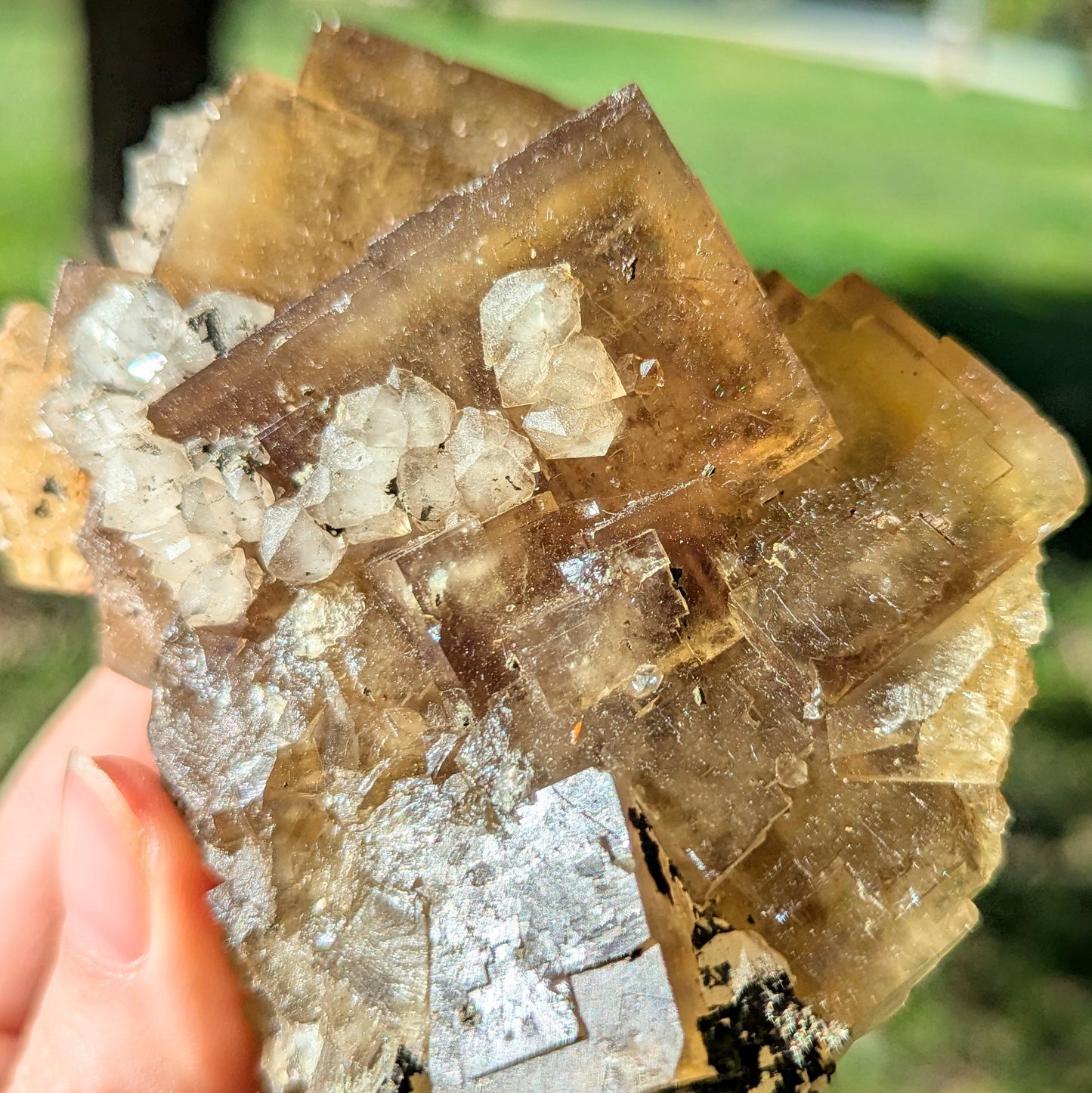 El Hammam Mine Fluorite and Quartz