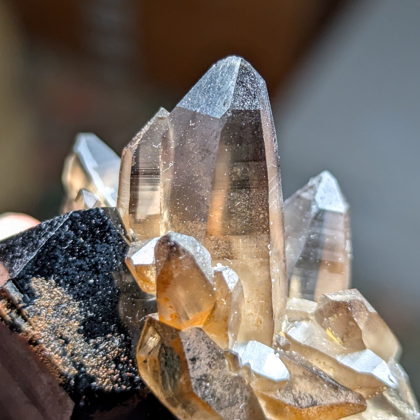 Erongo Smoky Quartz with Schorl