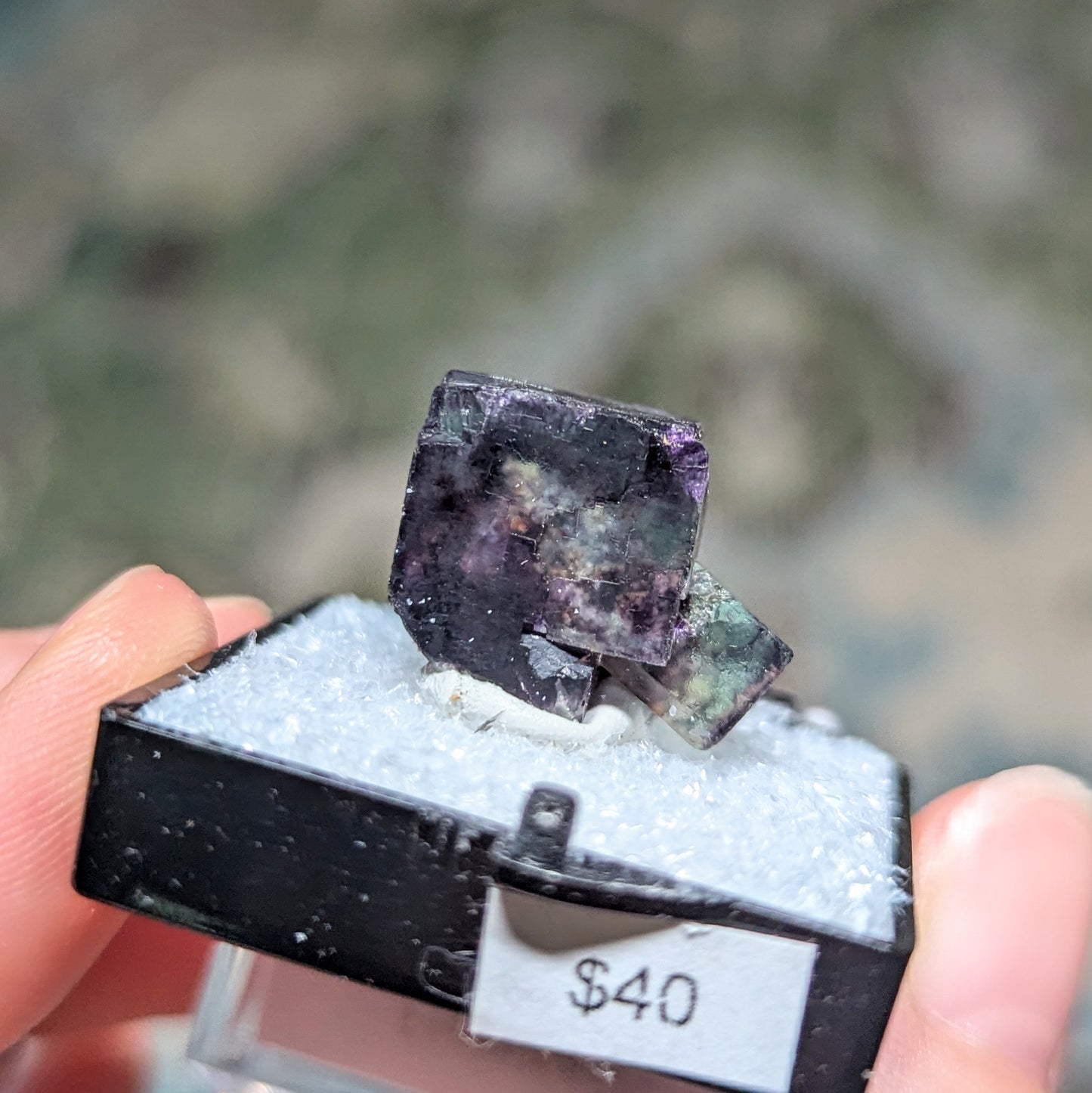 Okorusu Mine Fluorite Perky Box