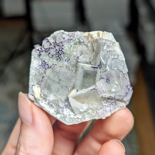 Guizhou Outline Fluorite