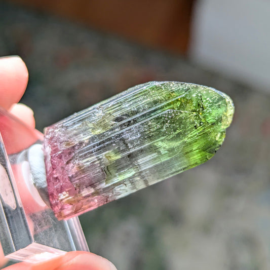 Cruzeiro Mine Tourmaline