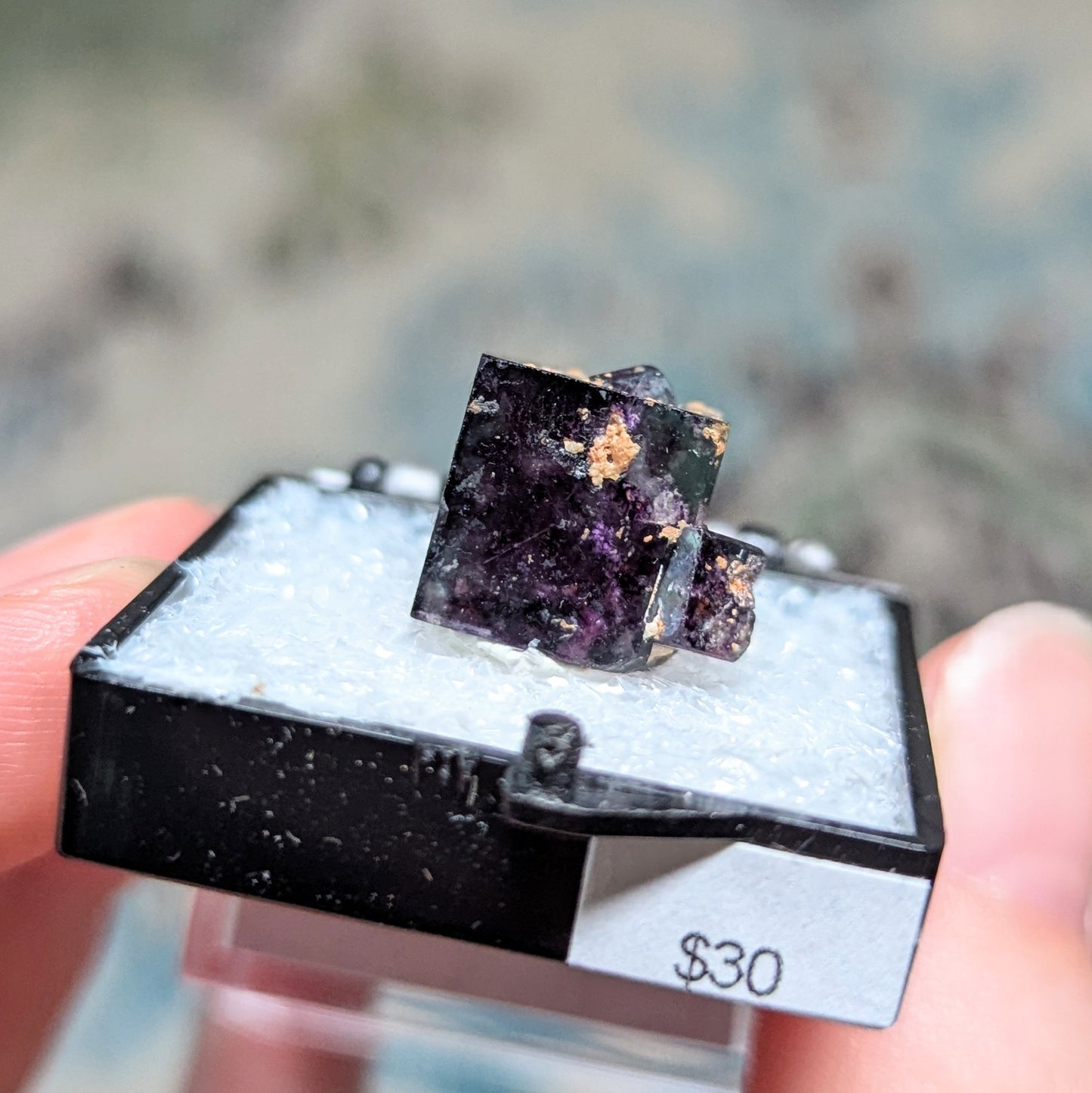 Okorusu Mine Fluorite Perky Box